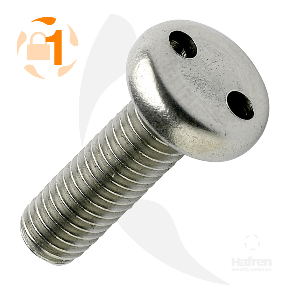M3 x 10mm Pan Head A2 Stainless Steel 2-Hole Machine Screw